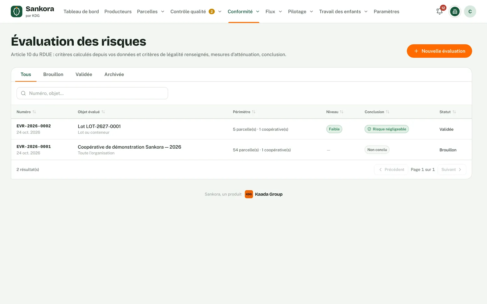 Évaluation des risques (article 10) : Critères calculés depuis vos données, mesures d'atténuation et conclusion validée.